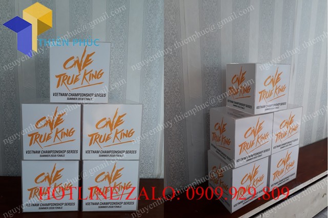 thung mic bo phieu tphcm