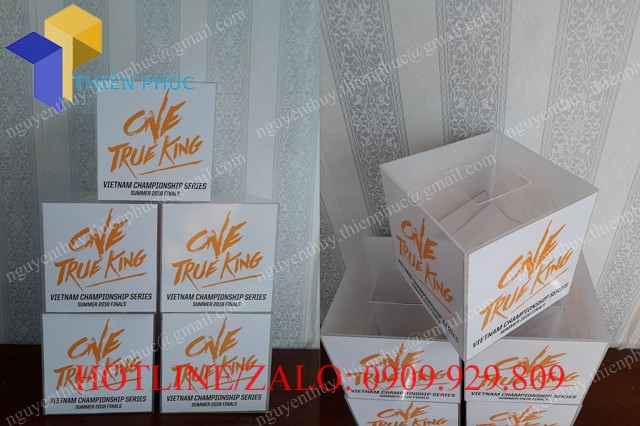 thung rut tham mica